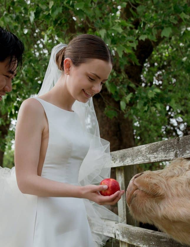 Bride on the grounds of Hedsor on her wedding day feeding a cow an apple